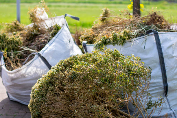 Professional Junk Removal in Beaverton, OR